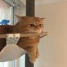 MyMia随笔的头像