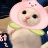 Its等你来找我_07的头像
