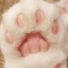 HeyCharlotte日常的头像