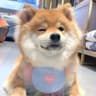 MyLuckyGirl_99的头像