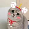 HeyMia_07日记的头像