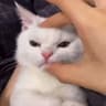My顾南枝X的头像