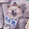 一今天也很酷Vibes的头像