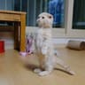 小晚风知我意.01的头像
