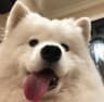 Hey阿宁今天吃啥Vibes的头像