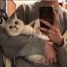 棠月NightDriveX的头像