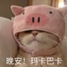 My阿LunaVibes的头像