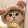 HeyMia手记的头像