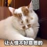 阿Amelia的头像