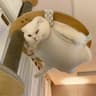 HeyLuna_99随笔的头像