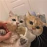 阿SoraDaily的头像