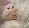 HeyIvy日记的头像