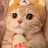 Aoi酱的头像