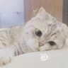 Hey向阳小花日记的头像