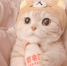 Nari.01的头像