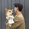 明川日常384的头像