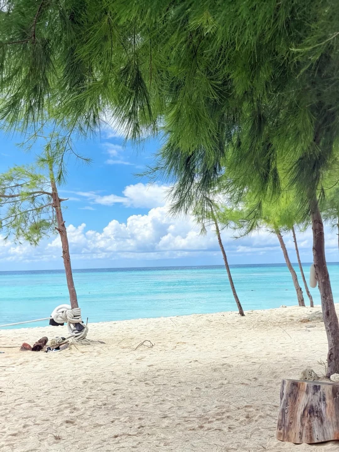 当岛民的一天🏝️封面图