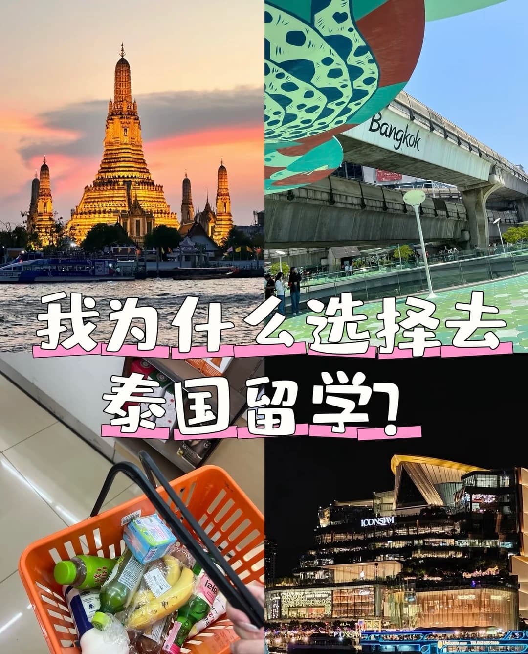 我为什么选择去泰国留学？封面图