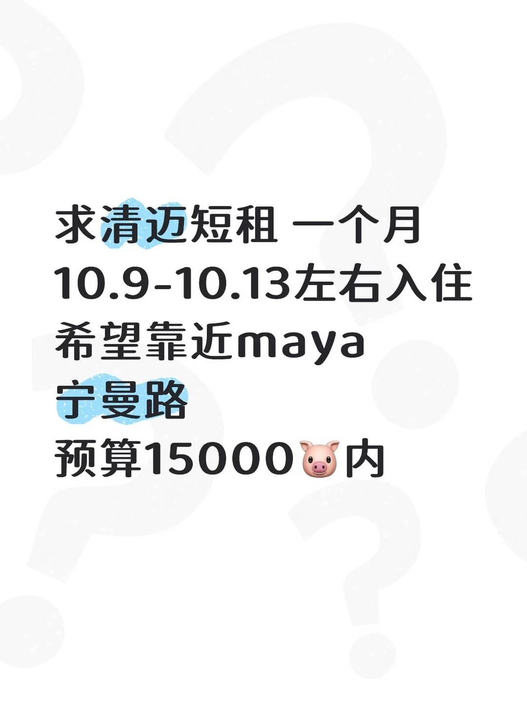 清迈的房东们！！！封面图