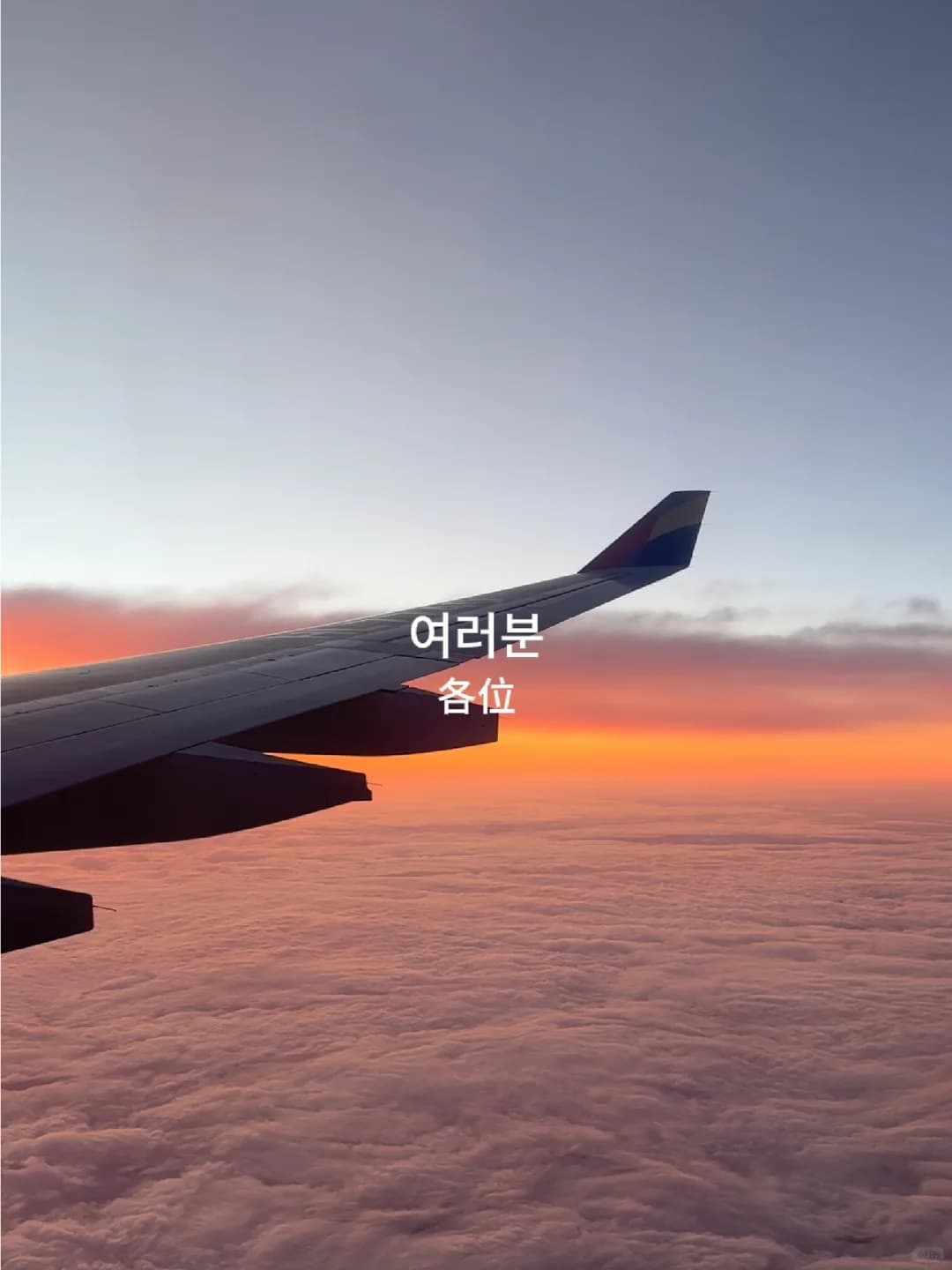 人生建议：所有去韩国旅行的人都用这个bgm!封面图