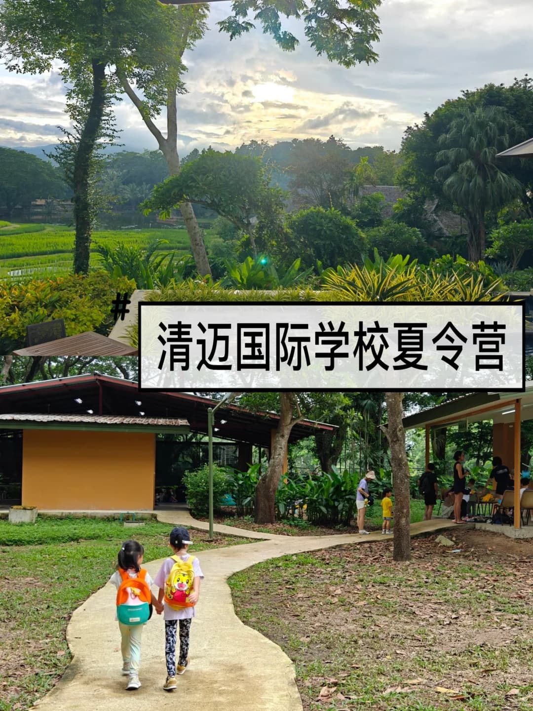 自己带娃去清迈夏令营攻略，上完娃还要去😄封面图