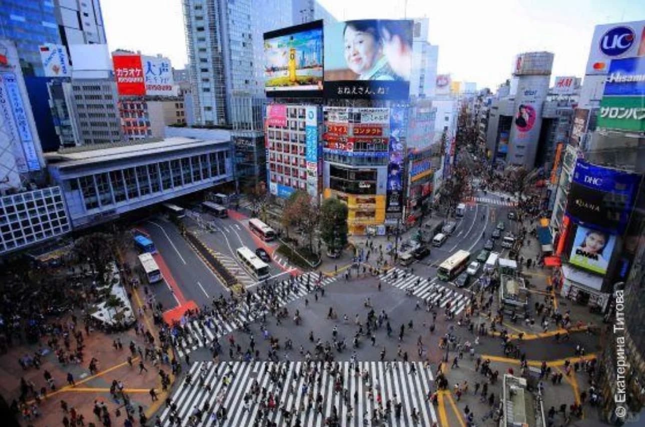 🇯🇵 东京自由行|把路线、交通和避坑讲封面图
