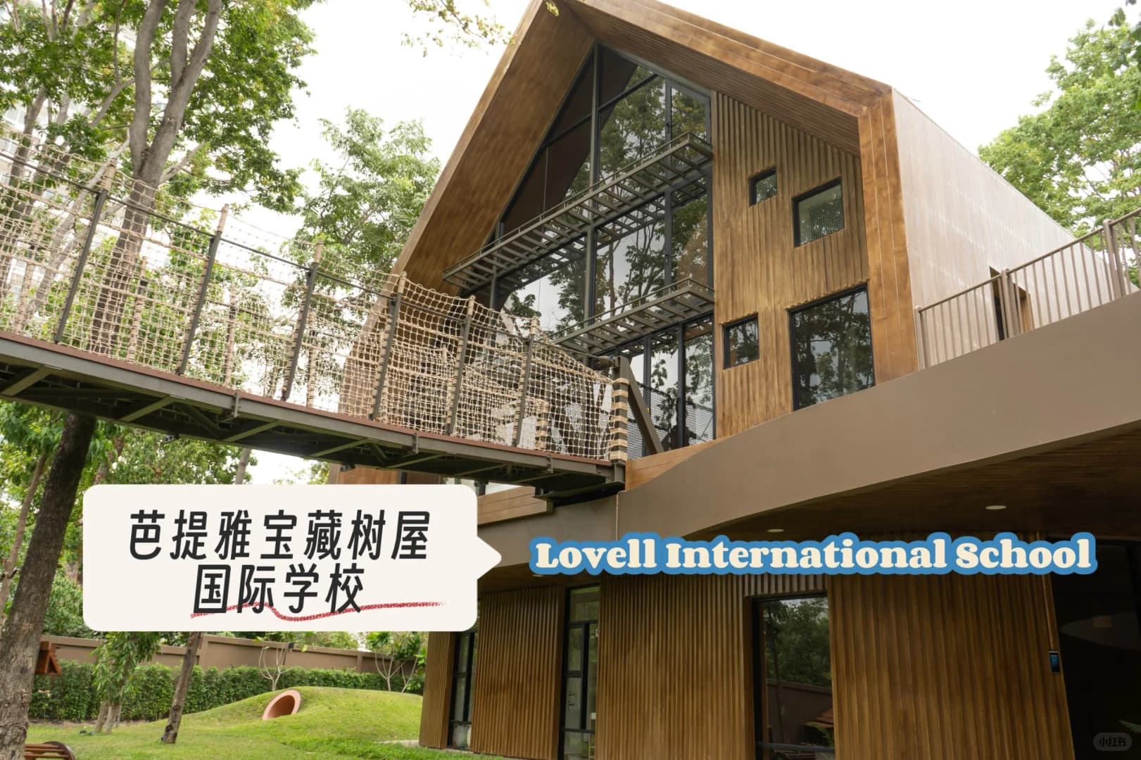 芭提雅神仙国际校！树屋里上学太幸福了🌳封面图