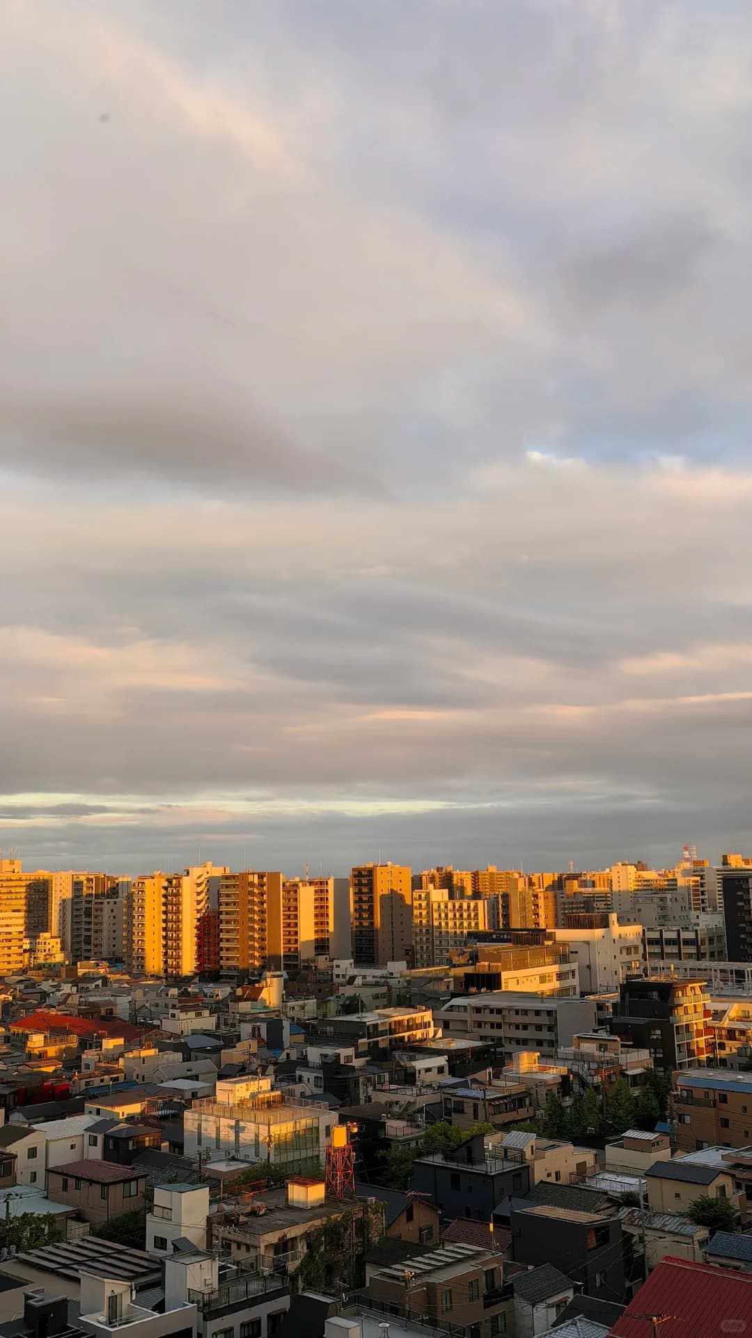 移居日本｜中产返贫第七件套封面图