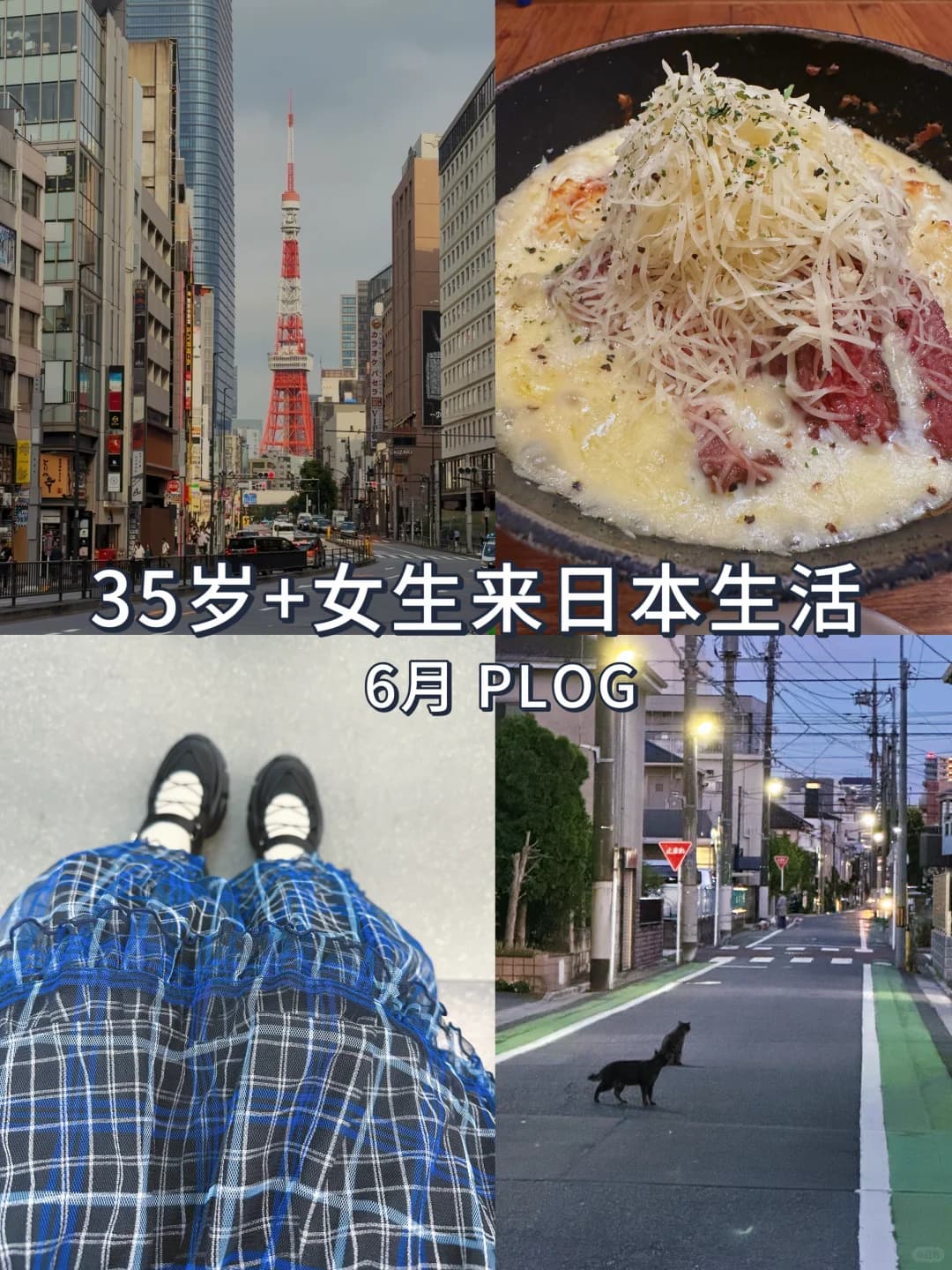 35岁+女生决定到日本生活！第3年后悔了吗？封面图