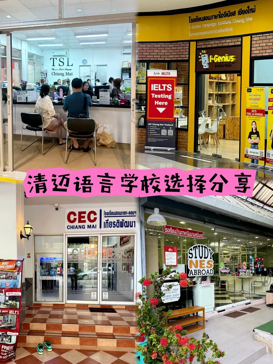 🇹🇭 清迈语言学校|实地探校全记录 附对比封面图