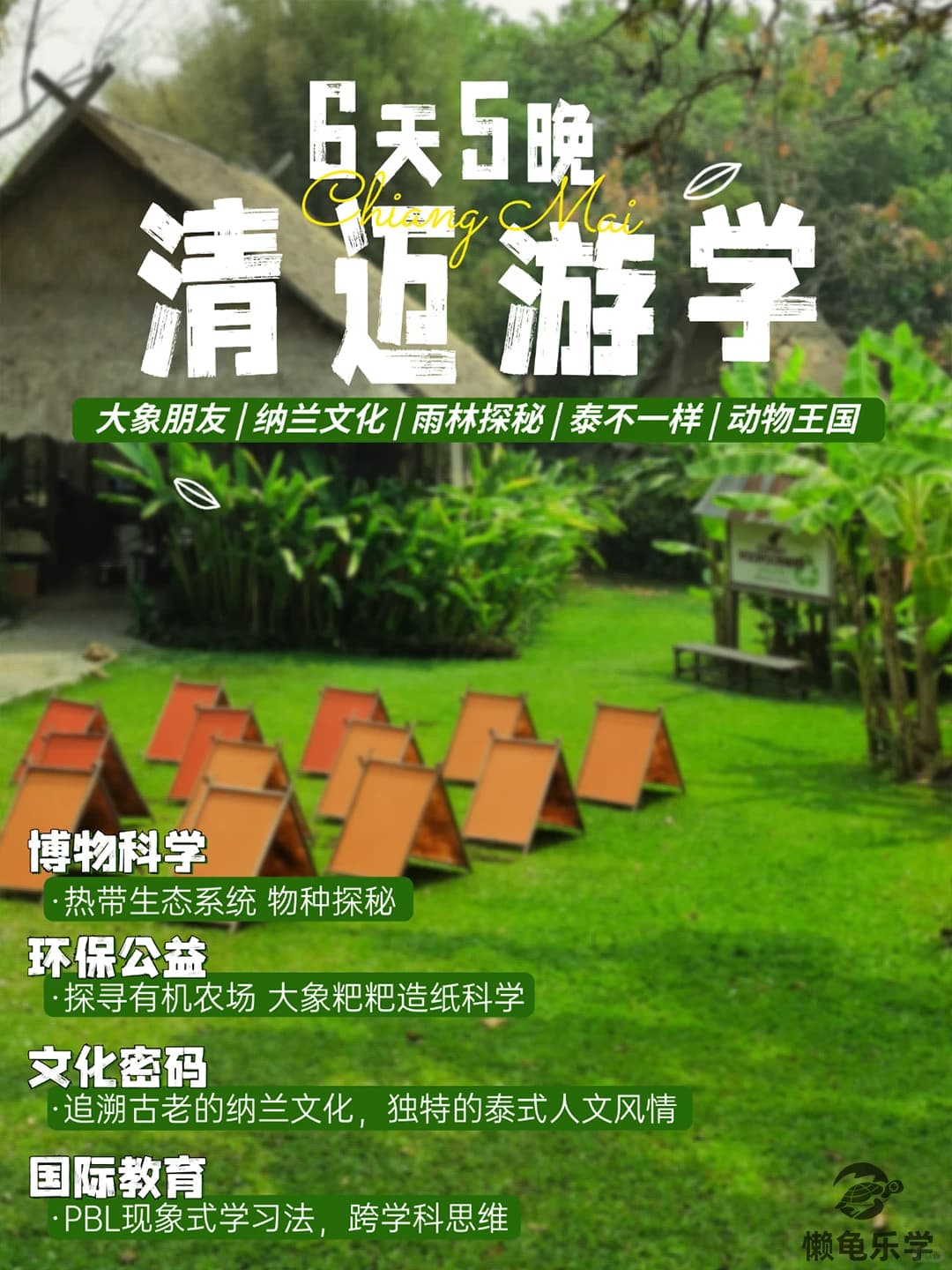 想出国游学|来看高性价比国家—泰国清迈封面图