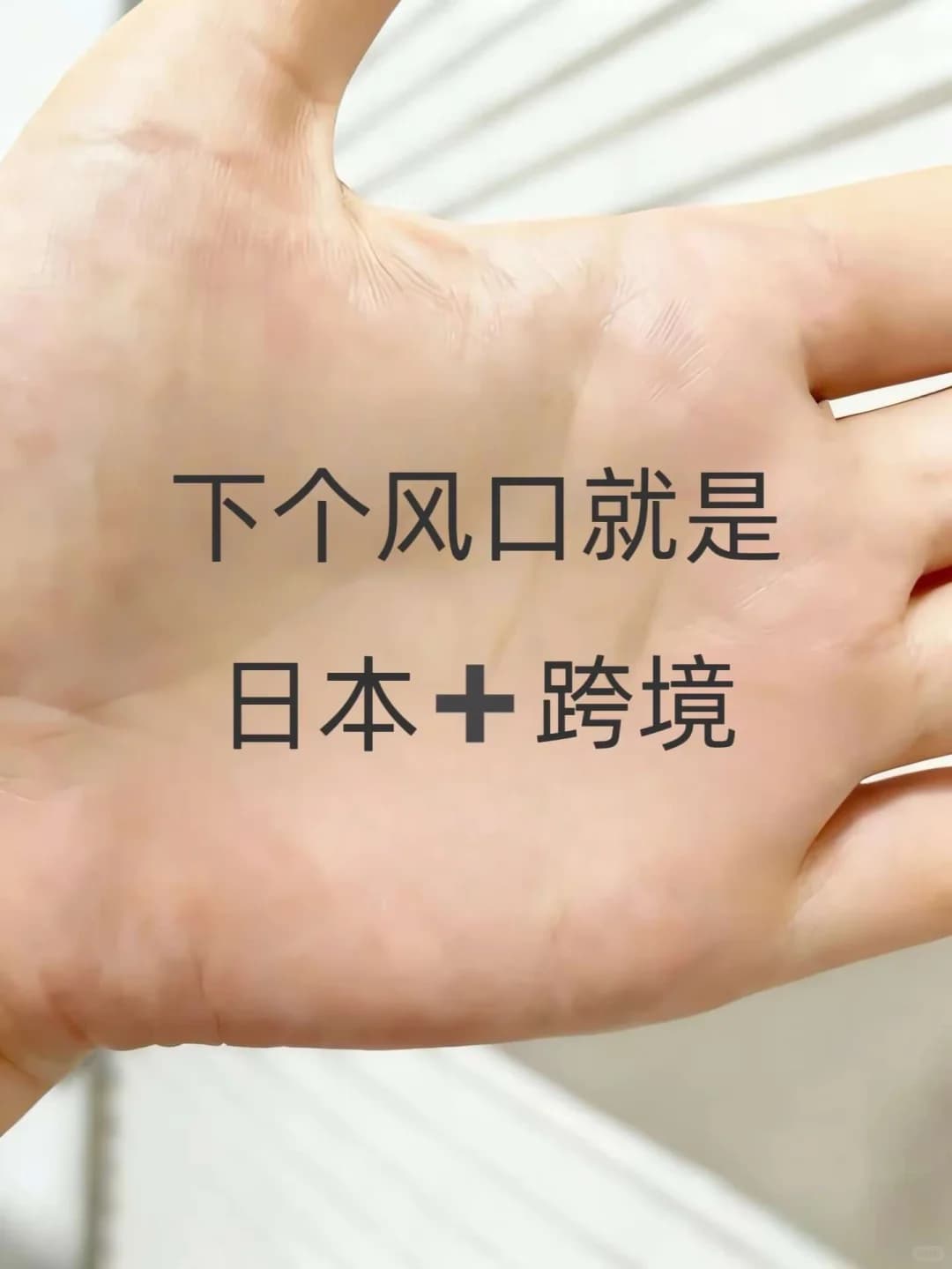 下一个风口就是日本➕跨境封面图