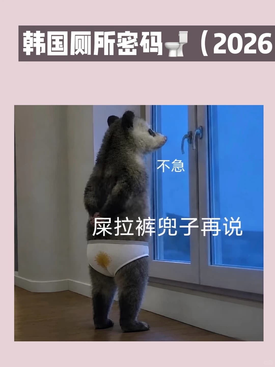 韩国公厕🚽密码(自存封面图