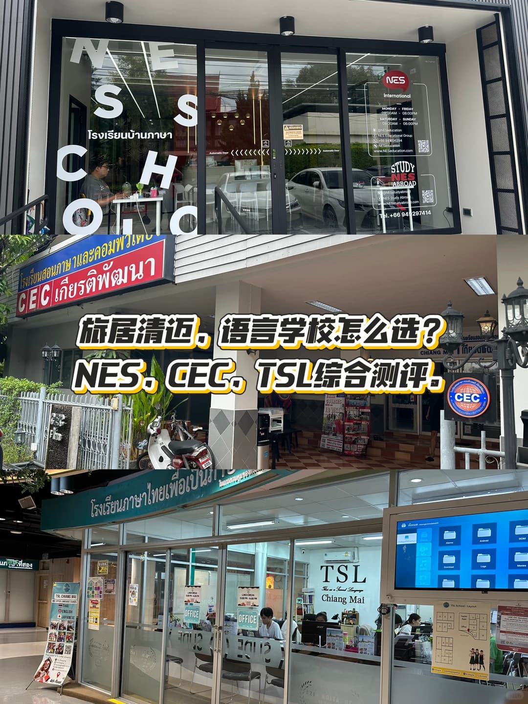 旅居清迈，成人英语学校怎么选？封面图