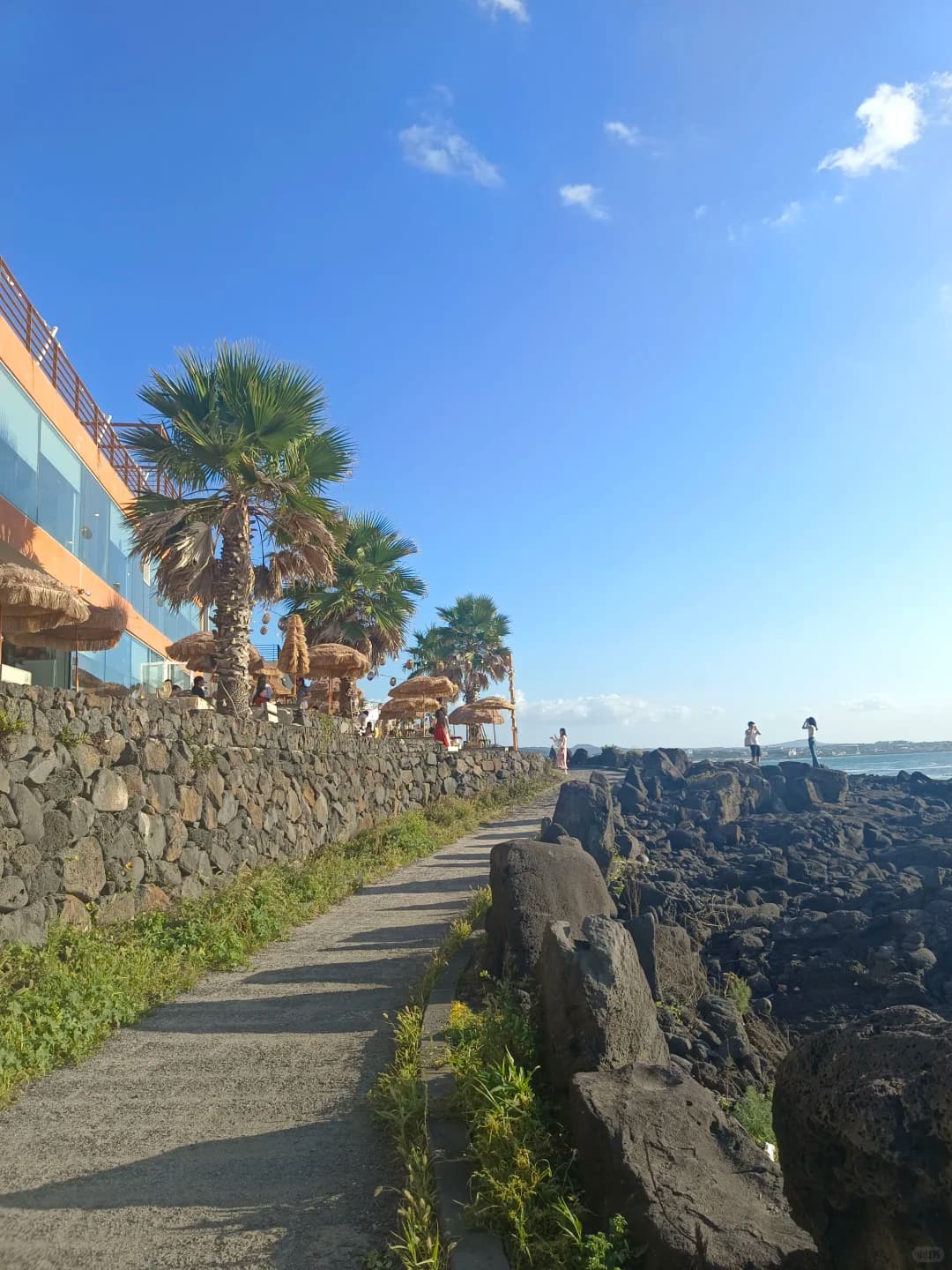 去了济州岛之后才知道的事情😭封面图