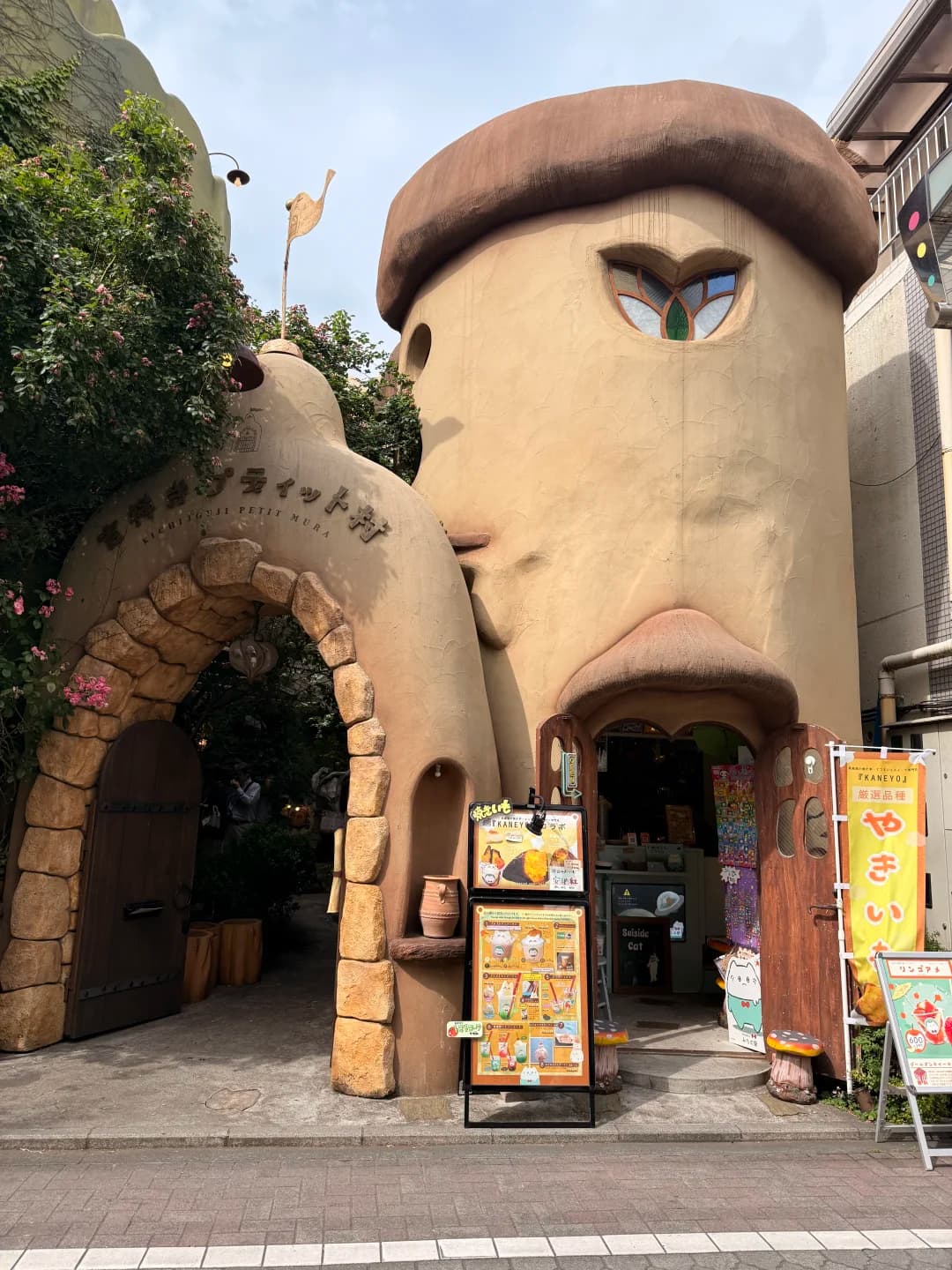 🇯🇵东京吉祥寺｜误闯宫崎骏动漫里的猫咪村封面图