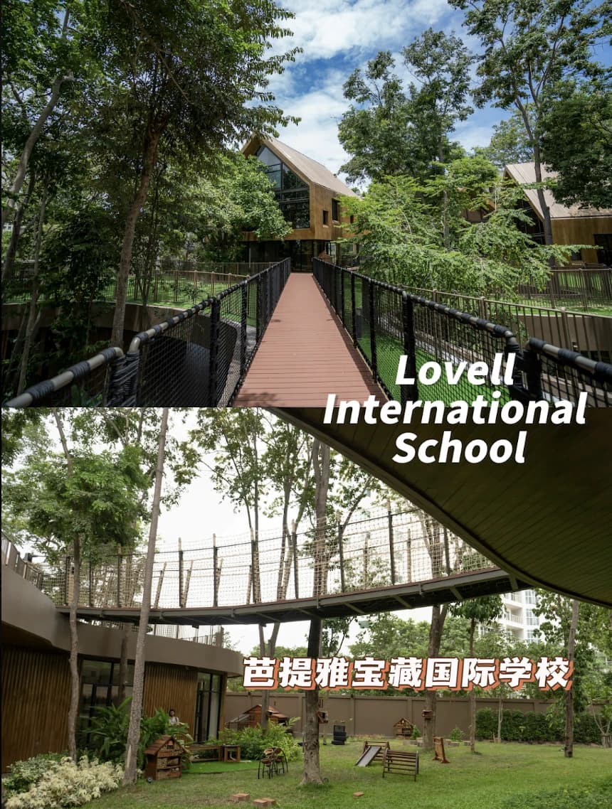 芭提雅Lovell国际学校｜自然里的成长乐园封面图