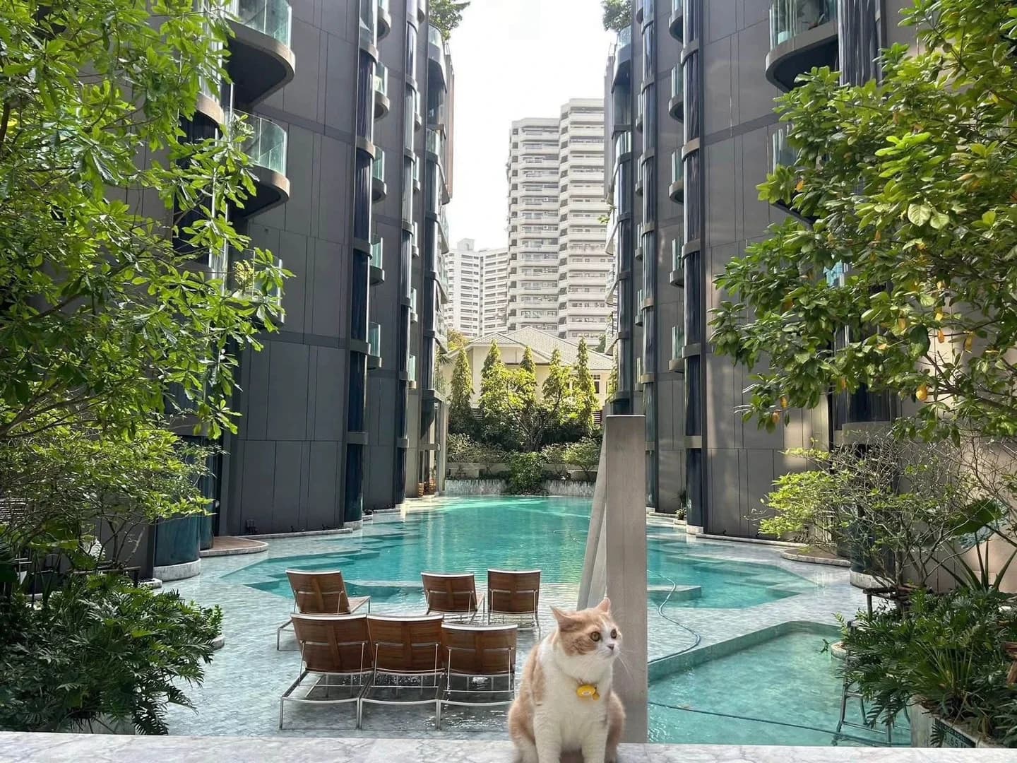 #曼谷租房｜Ashton Sukhumvit41 两房好房✨封面图