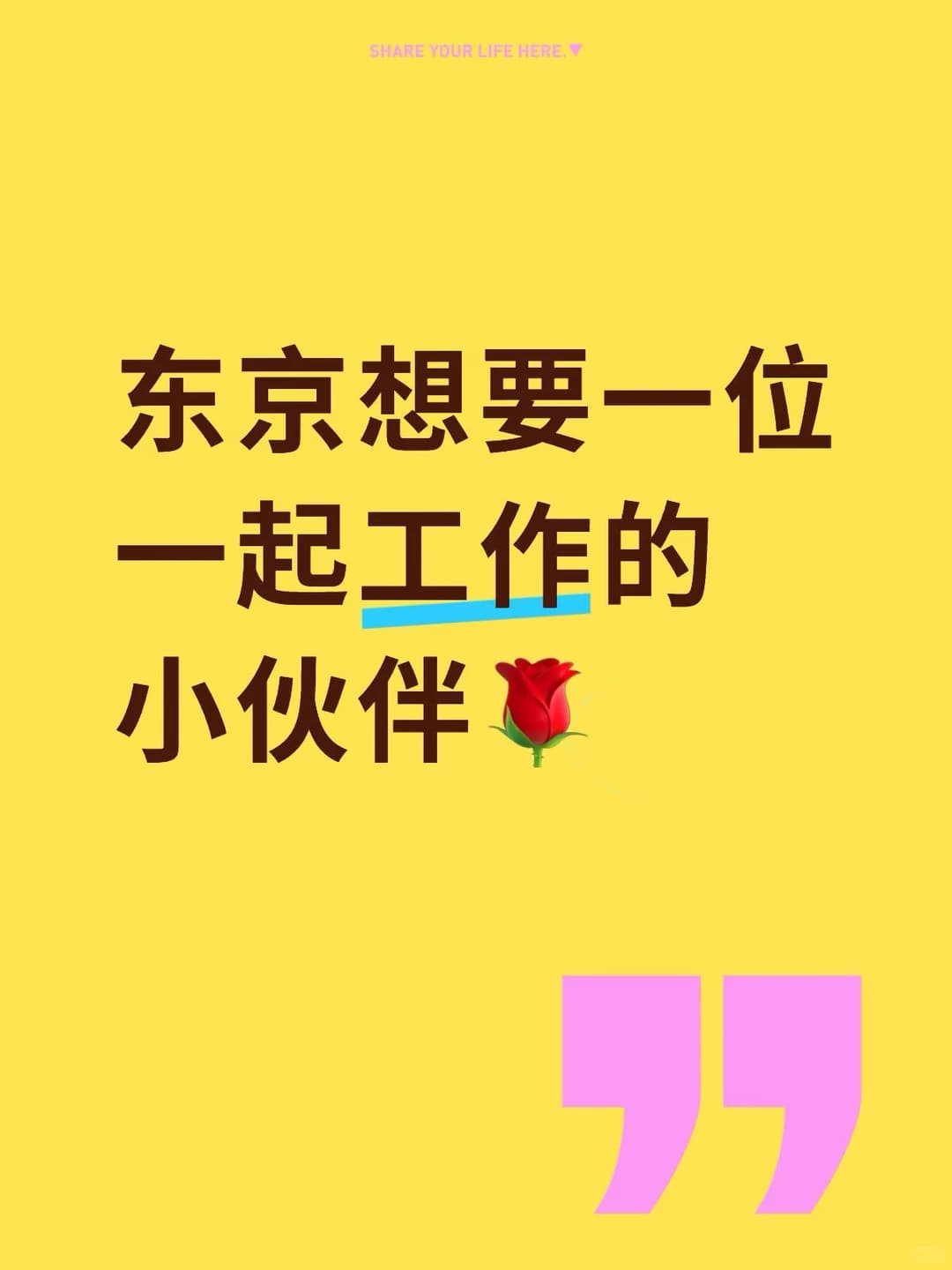 东京想找一位一起工作的伙伴🌷封面图