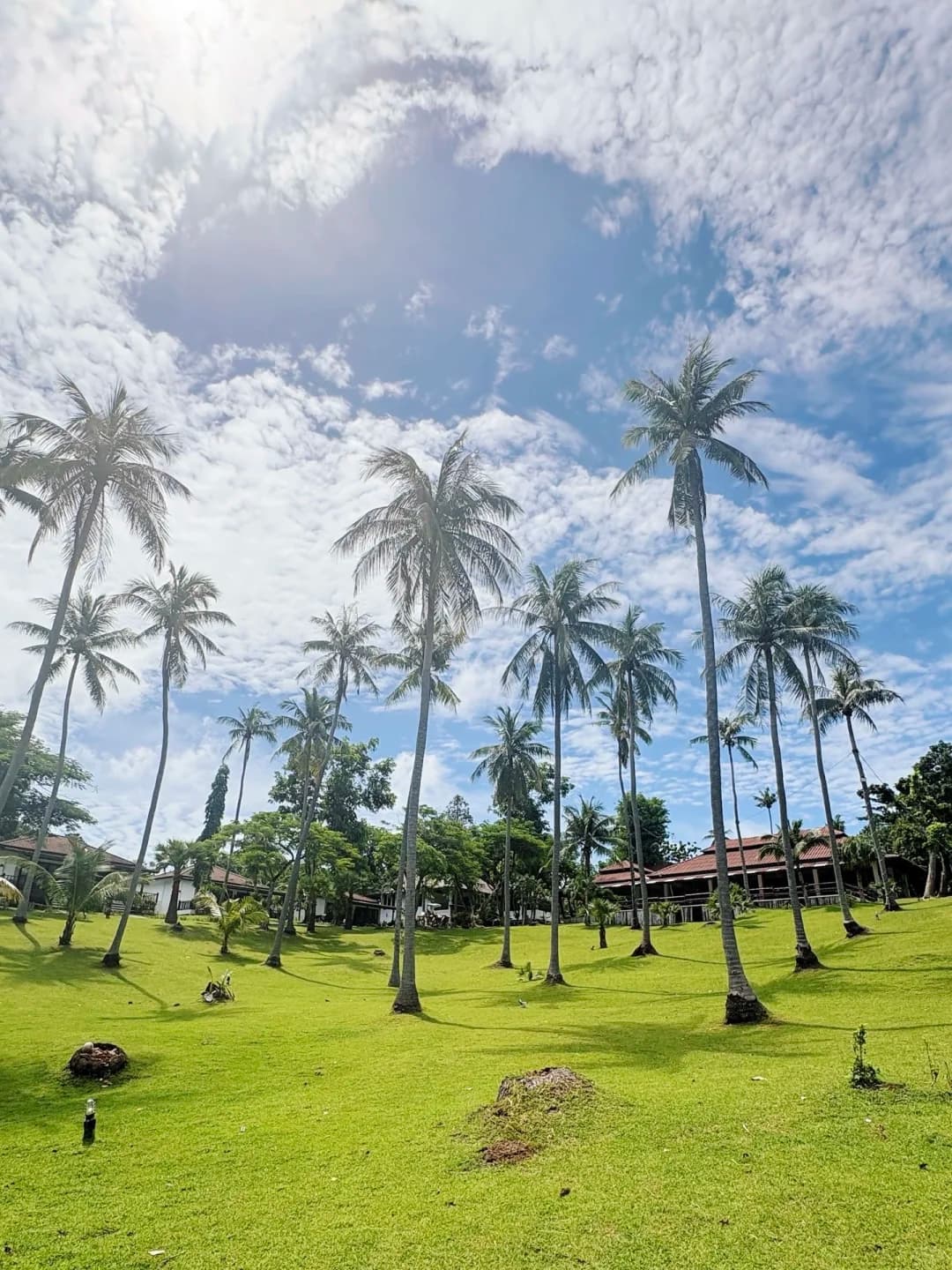皇帝岛一日游攻略🏝️🫧封面图