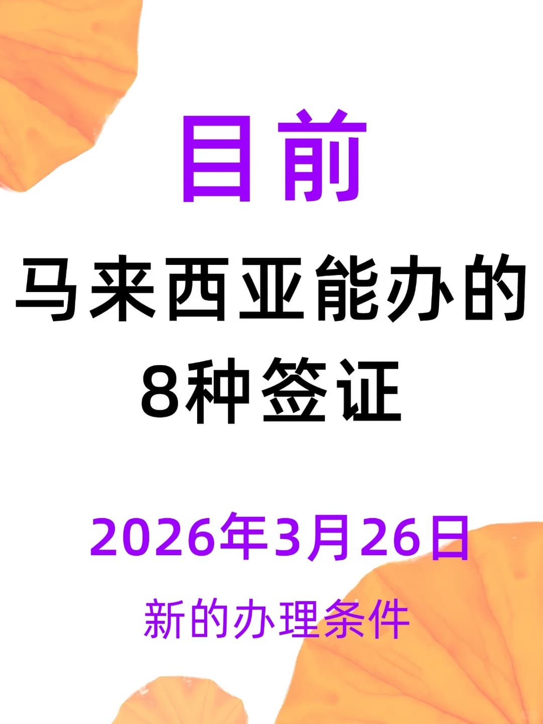 目前大马能办的签证(2026.3月版)封面图