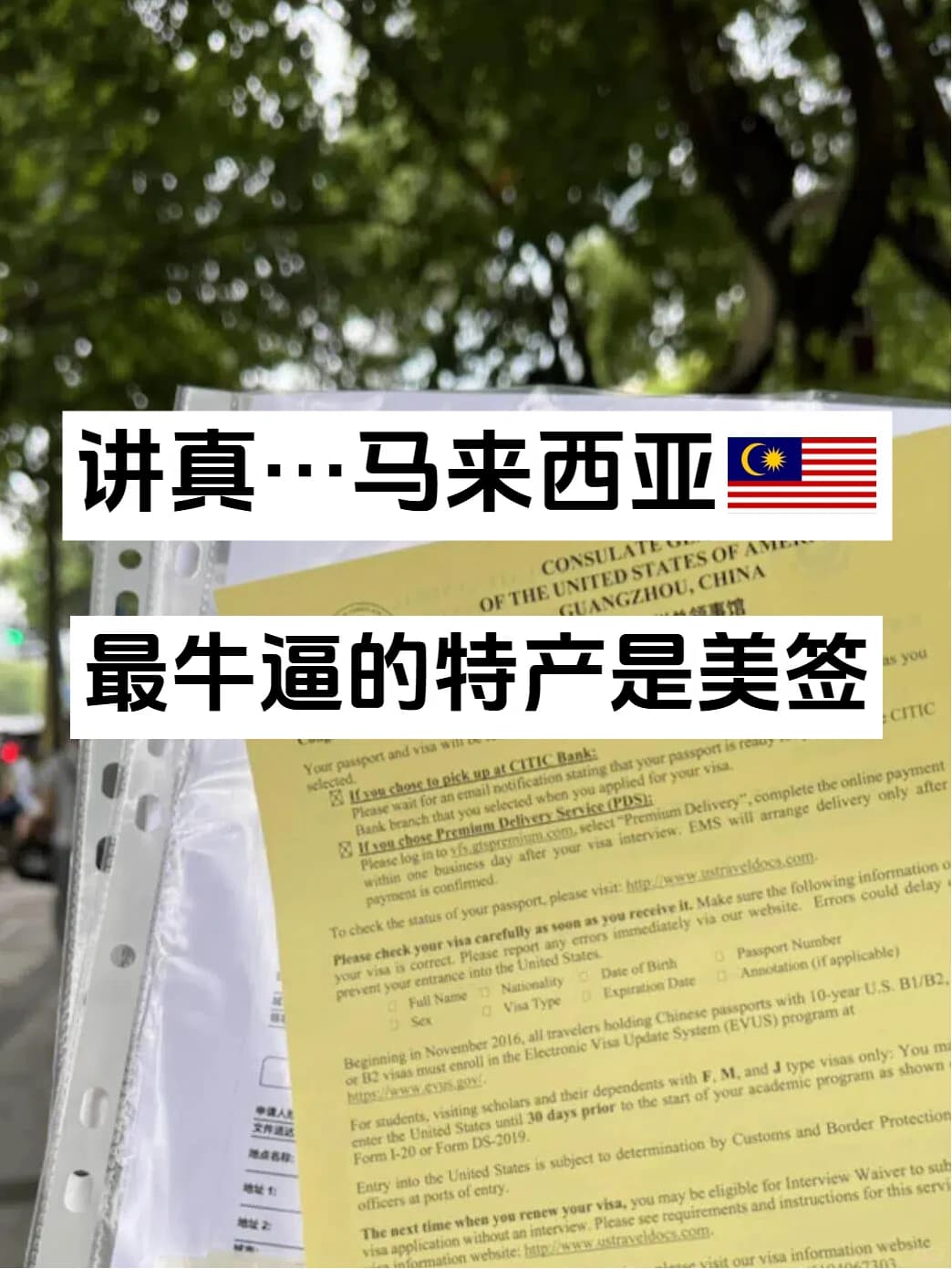 讲真..🇲🇾马来西亚最牛逼的特产是美签封面图