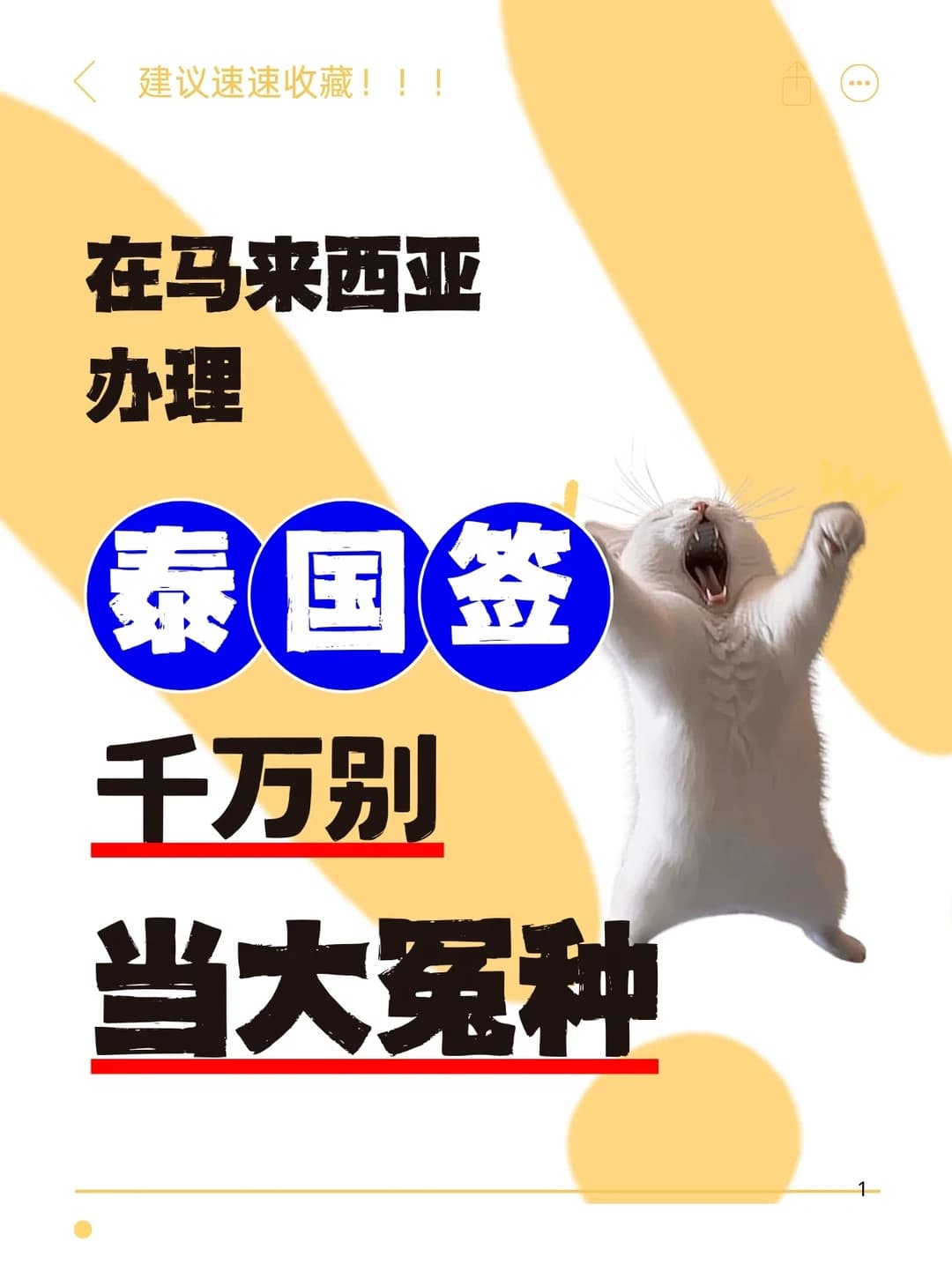 台签注意这些避坑点封面图