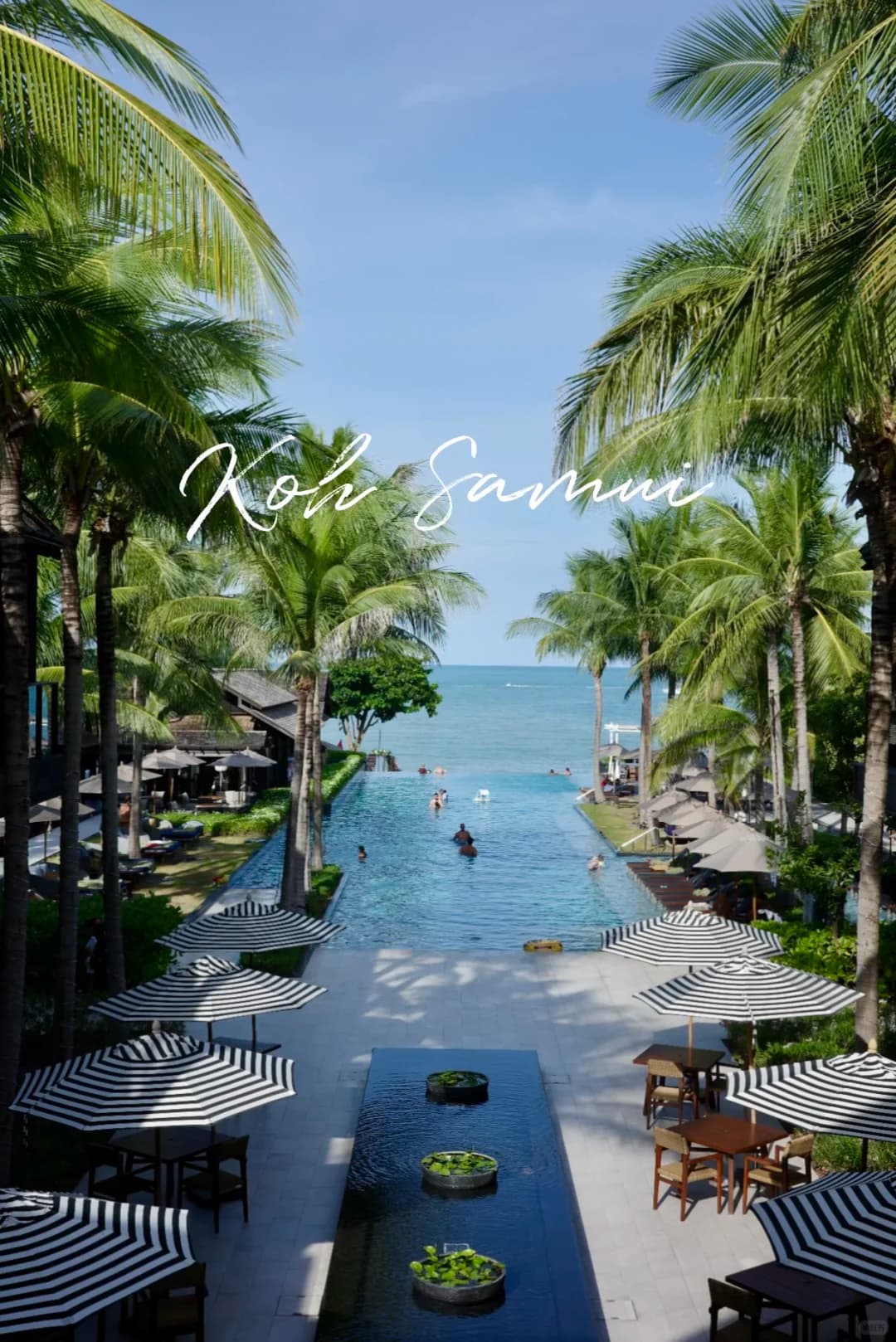 🇹🇭苏梅岛｜躺酒店才是正经事，2家实测封面图