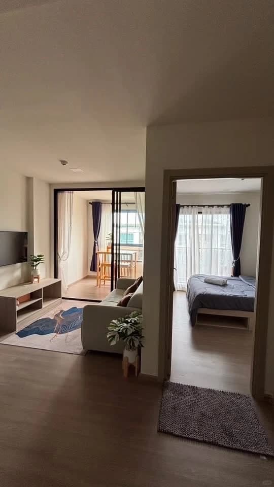 🏡 普吉岛 D Condo Reef｜1+1房封面图