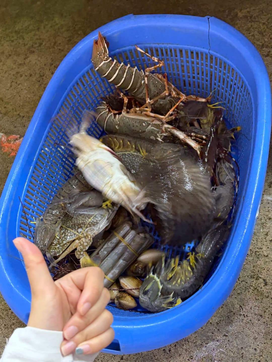 普吉岛班赞海鲜市场海鲜，1700🐷封面图