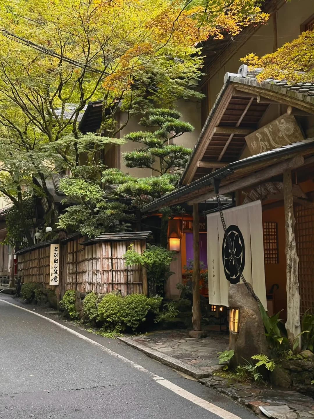 日本最适合旅居一个月的城市——京都封面图