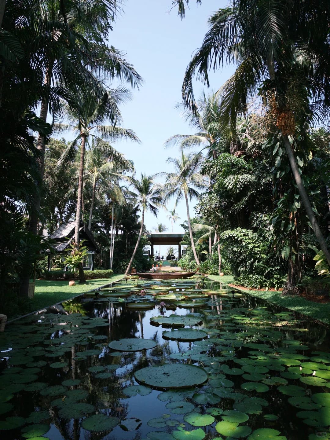 苏梅岛|安纳塔拉🌴&🐒封面图