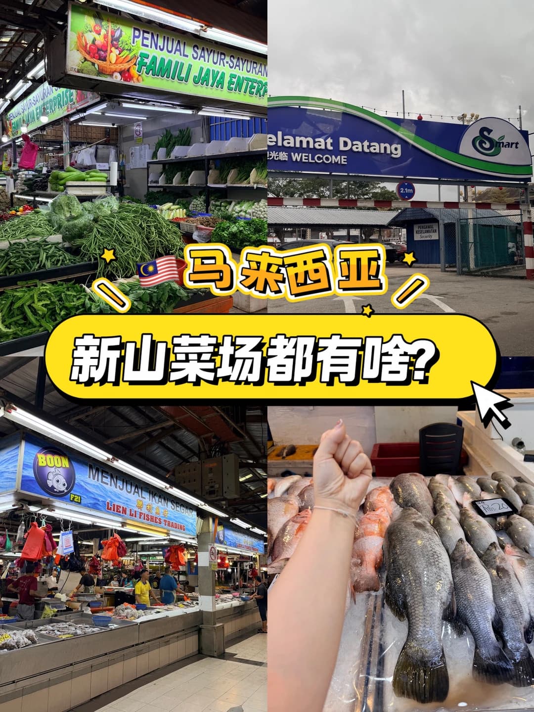 🇲🇾谁懂啊！新山菜市场梭子蟹1块钱一只！封面图