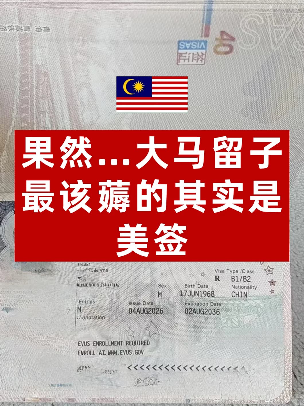 果然…🇲🇾大马留子最该薅的其实是美签封面图